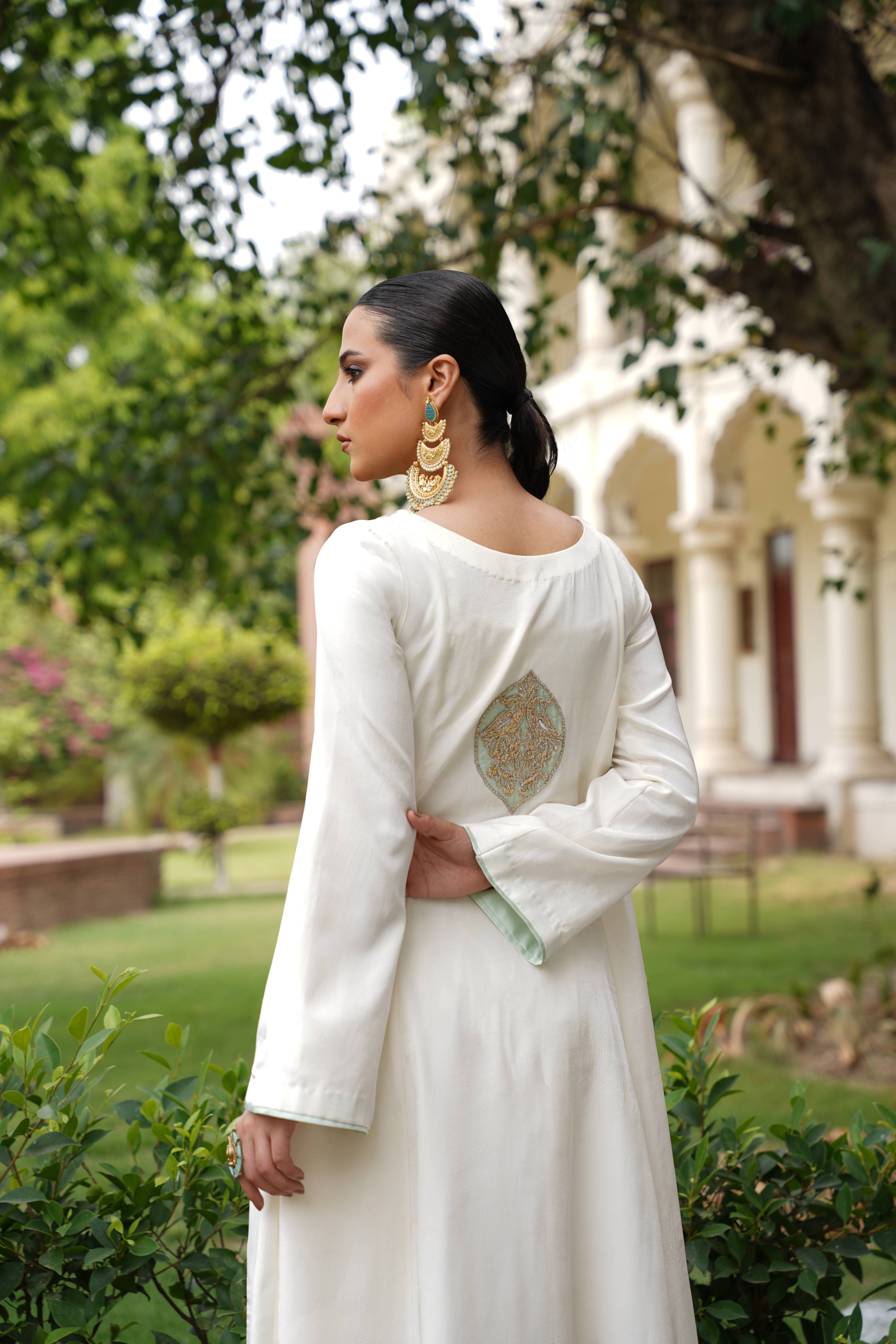 Orchid Elegance